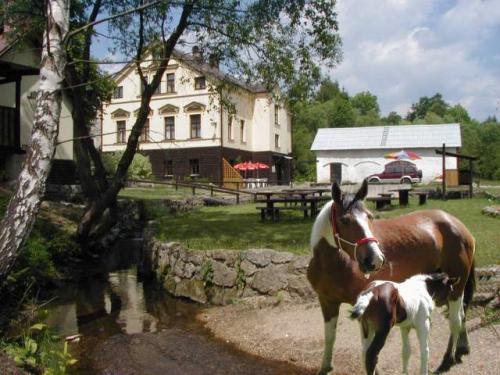 Foto - Unterkunft in Lučany nad Nisou - Pension a ranč U potoka