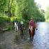 Foto Unterkunft in Hořičky - riding school Litoboř