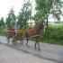 Foto Unterkunft in Hořičky - riding school Litoboř