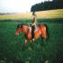 Foto Unterkunft in Hořičky - riding school Litoboř