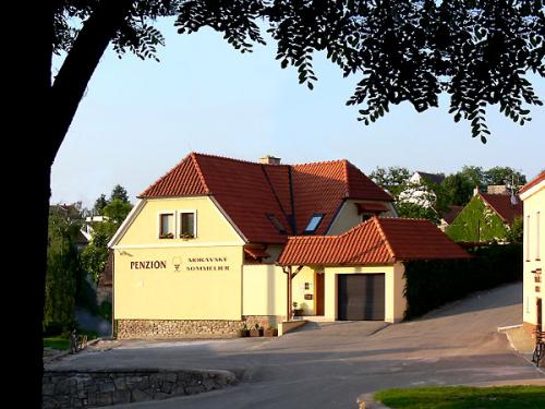Foto - Unterkunft in Valtice - Penzion Moravský sommelier