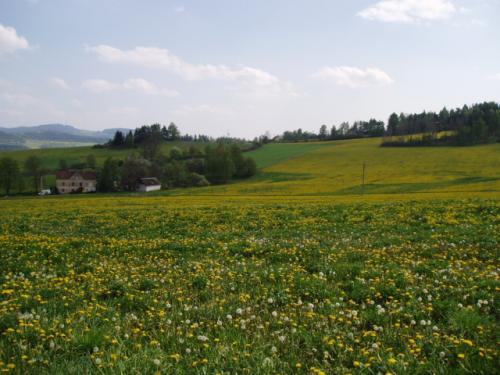 Foto - Unterkunft in Čkyně - Penzion a chata Na Vápence