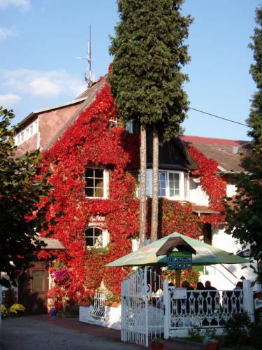 Foto - Unterkunft in Mariánské Lázně - Pension Villa Marion