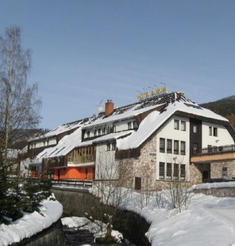 Foto - Unterkunft in Černý Důl - Hotel Aurum - Hotel für familien