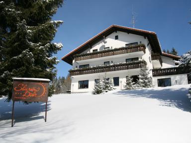 Foto - Unterkunft in Bayerisch Eisenstein - Penzion Sluneční Dvůr