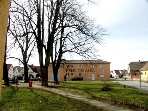 Foto - Unterkunft in Přeštice - Pension alfa