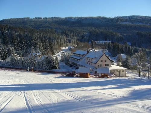 Foto - Unterkunft in Kubova Huť - Hotel Kuba