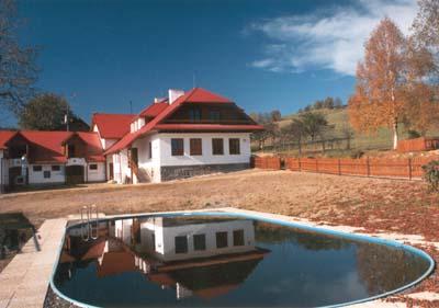 Foto - Unterkunft in Stachy - Amber Hotel Michalov