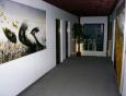 Foto - Unterkunft in Praha - Hotel Gallery Praha