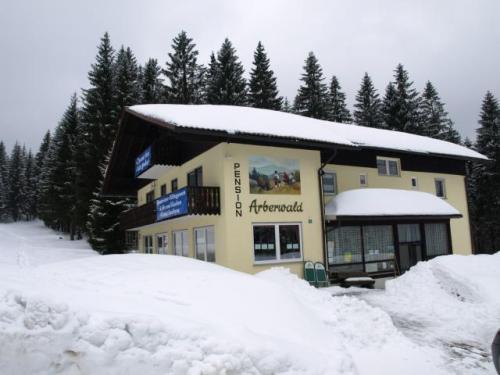 Foto - Unterkunft in Bayerisch Eisenstein - Pension Arberwald